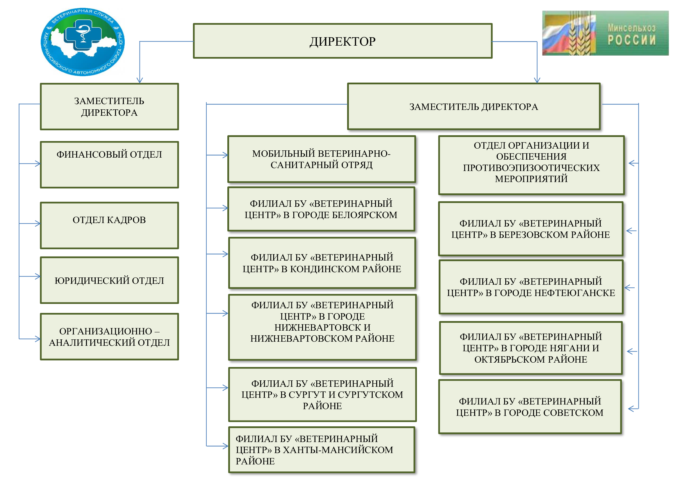 Схема ветеринарий. Дизайн схема структуры предприятия.